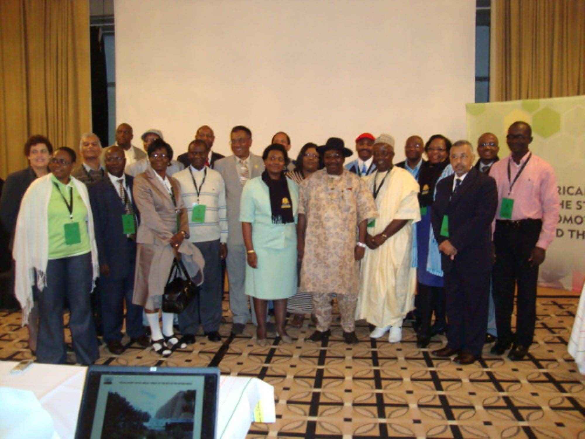 AFTRA 2nd Roundtable, South Africa, 2011
